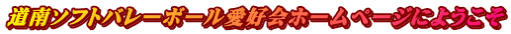 道南ソフトバレーボール愛好会ホームページにようこそ